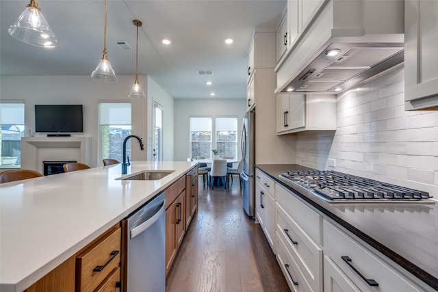 kitchen featuring white cabinetry, sink, premium range hood, and appliances with stainless steel finishes