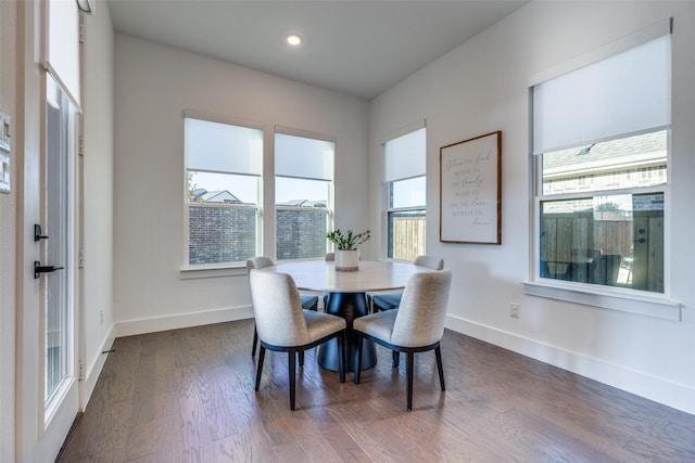 dining room featuring dark hardwood / wood-style flooring