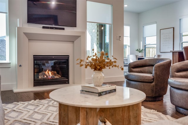 living room featuring dark wood-type flooring