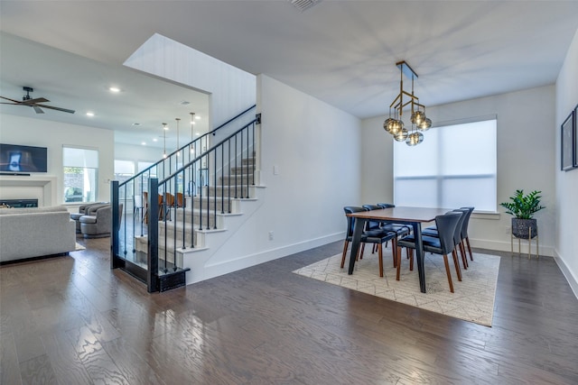 dining room with dark hardwood / wood-style floors and ceiling fan with notable chandelier