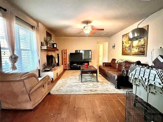 living room with ceiling fan and wood-type flooring