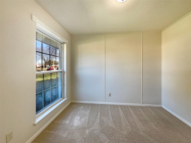 unfurnished room with carpet flooring and a textured ceiling