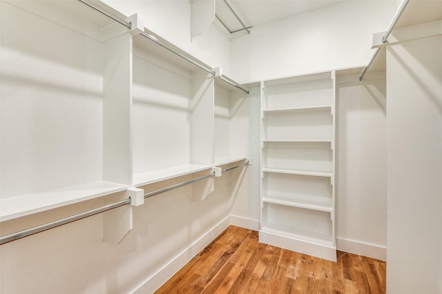 walk in closet with light wood-type flooring