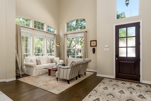 interior space with dark wood-type flooring, a towering ceiling, and baseboards