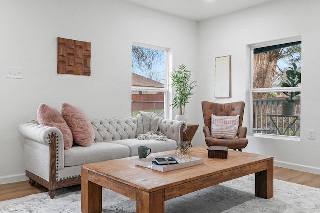 living room featuring hardwood / wood-style flooring and a wealth of natural light