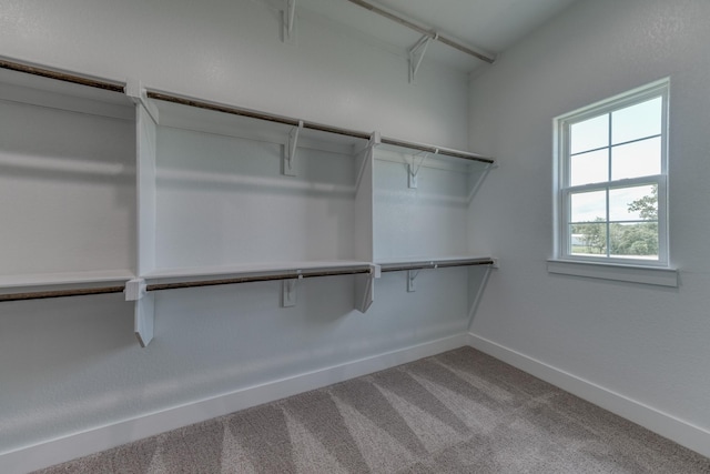 walk in closet featuring carpet floors