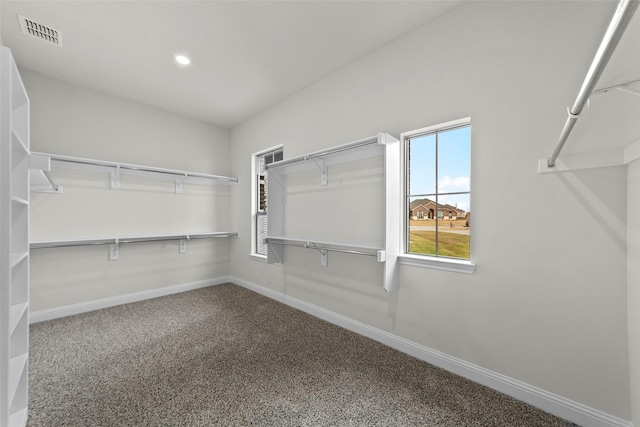 walk in closet with carpet floors