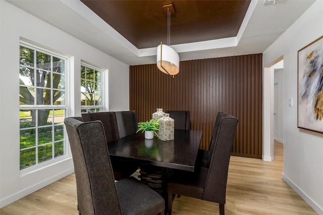 dining room with a tray ceiling and light hardwood / wood-style flooring