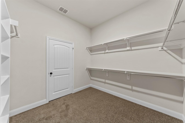 spacious closet with carpet