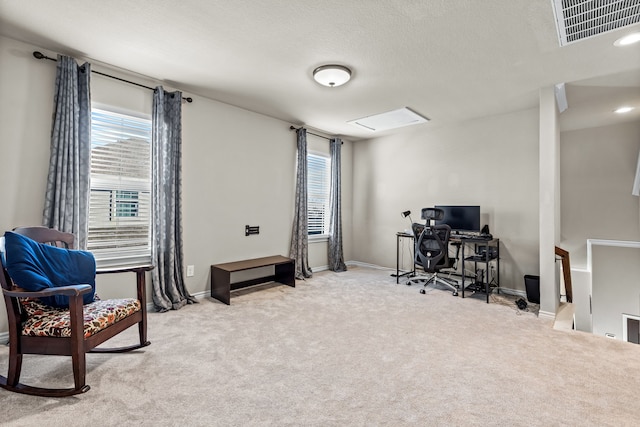 home office featuring light colored carpet and plenty of natural light