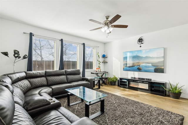 living room featuring ceiling fan and wood-type flooring