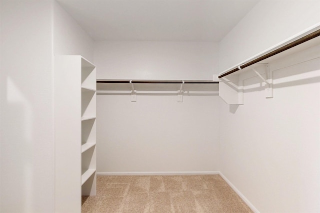 789 Merry Summit Rd, Lavon, TX 75166 - walk in closet with carpet floors