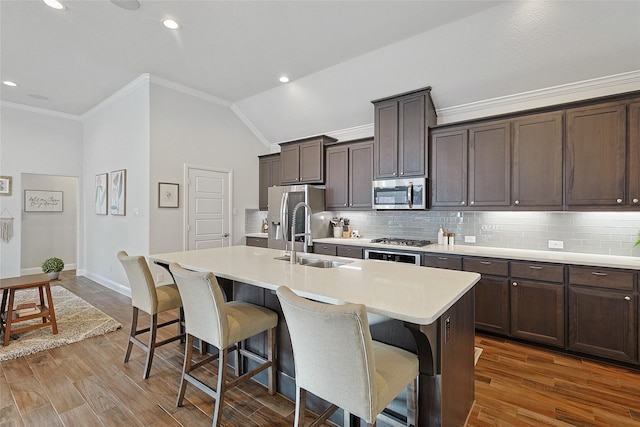 kitchen featuring vaulted ceiling, sink, stainless steel appliances, and an island with sink