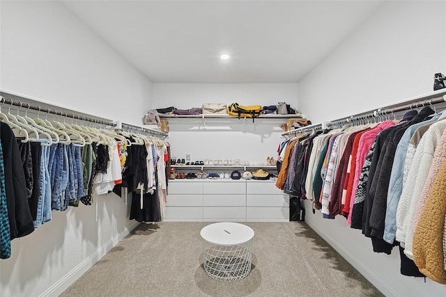 spacious closet with light carpet