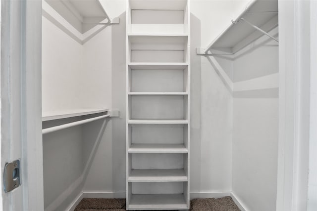 walk in closet with carpet flooring