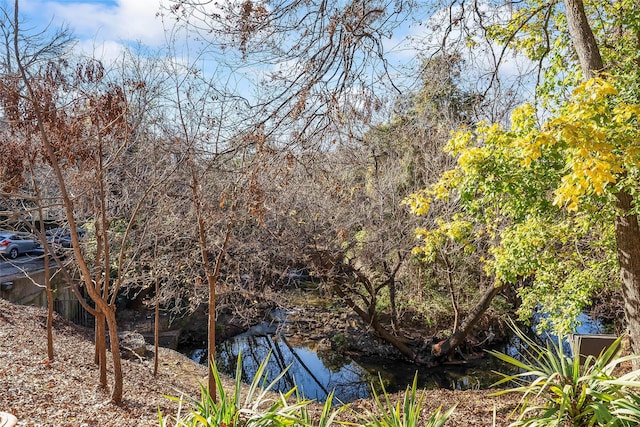 view of nature