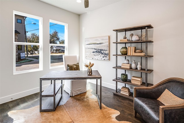 office featuring wood-type flooring