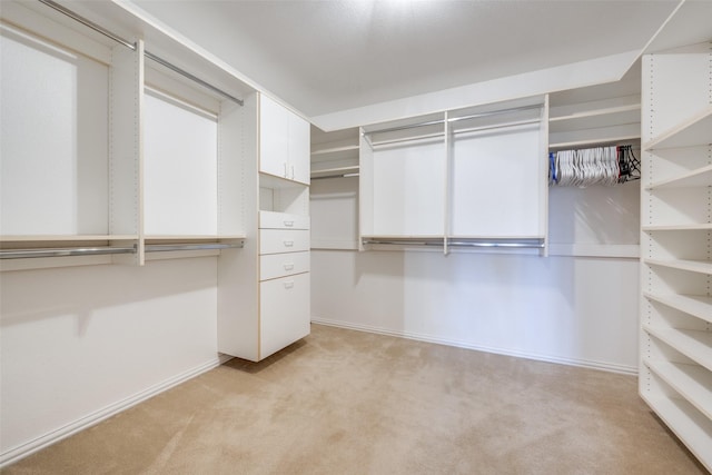 spacious closet featuring light colored carpet