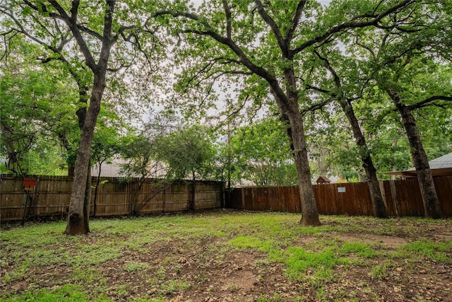 6010 Paradise Dr, Arlington, TX 76001 - view of fenced backyard