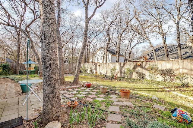 view of yard with a patio