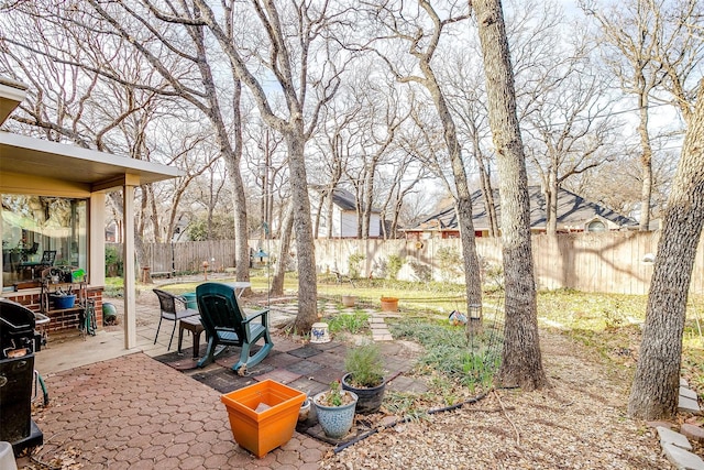 view of yard with a patio