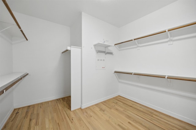 spacious closet with hardwood / wood-style floors