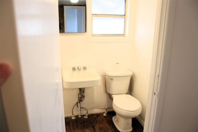 bathroom with sink, hardwood / wood-style floors, and toilet