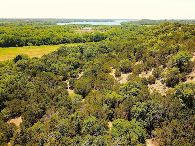 TBD Canyon Road, Weatherford TX, 76085 land for sale