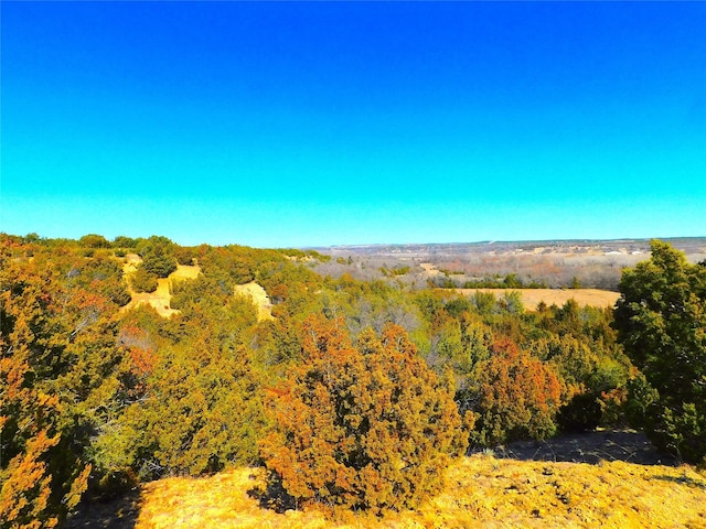 Listing photo 3 for TBD Canyon Road, Weatherford TX 76085