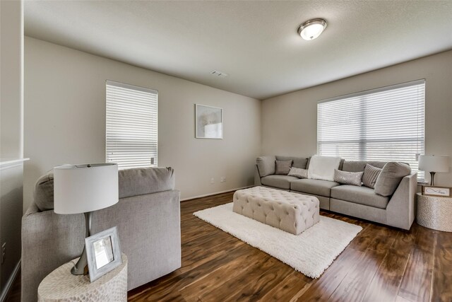 living room featuring dark hardwood / wood-style flooring