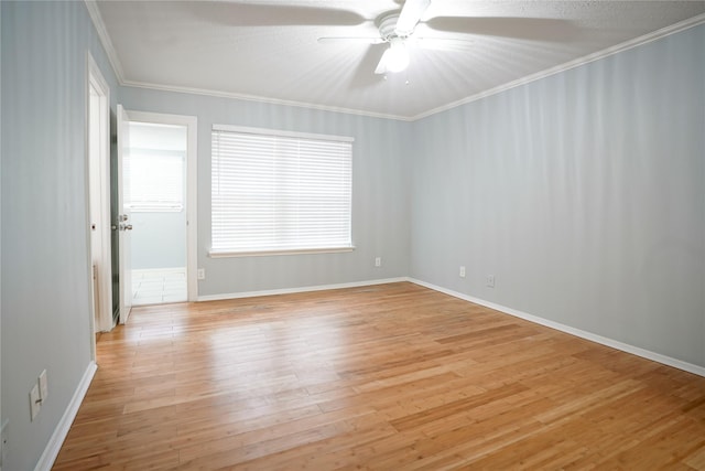 unfurnished room featuring crown molding, ceiling fan, and light wood-type flooring