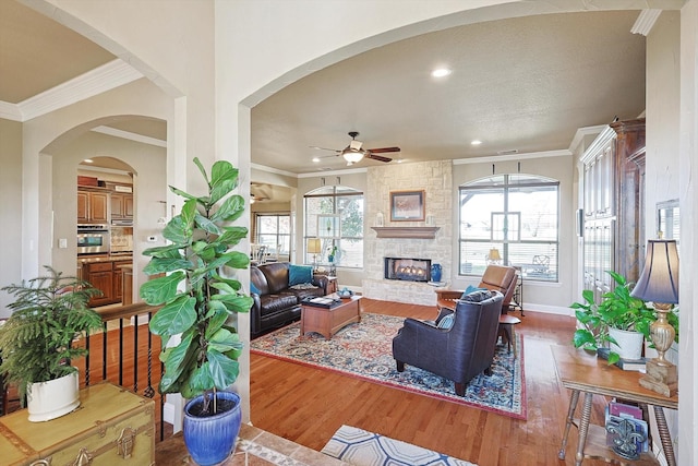 living room with a stone fireplace, ceiling fan, crown molding, and wood-type flooring