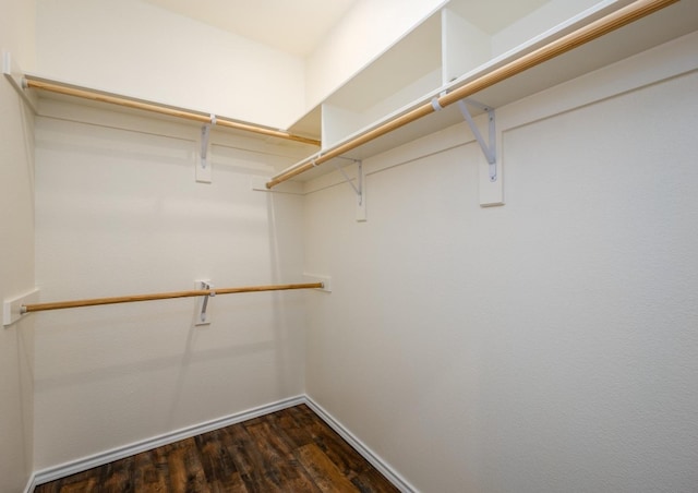 walk in closet featuring dark hardwood / wood-style floors