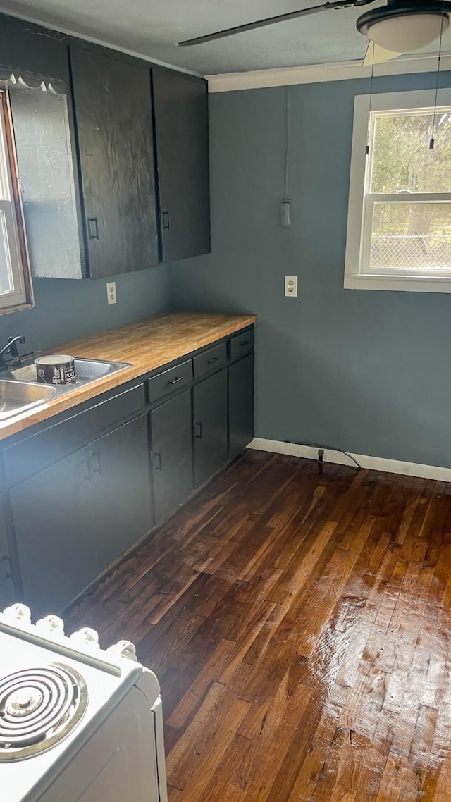 laundry room with dark wood-type flooring and sink