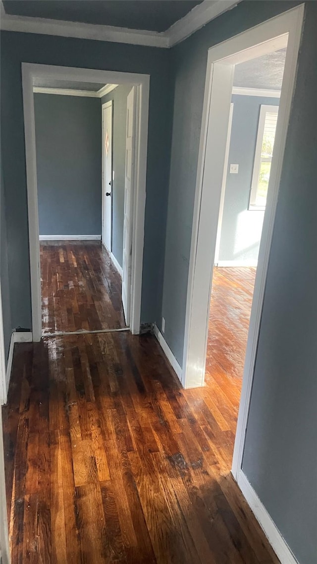 corridor featuring dark hardwood / wood-style floors and crown molding