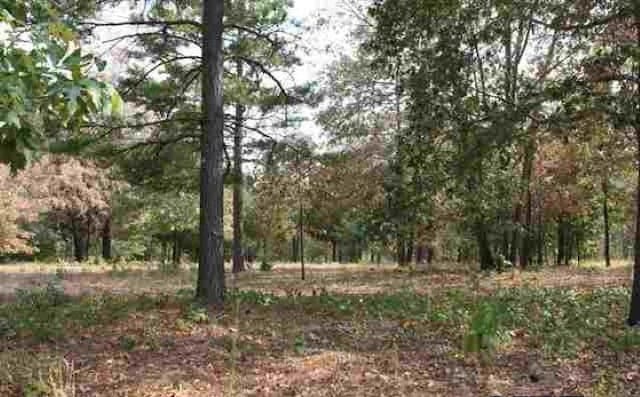 4519 Cascades Blvd, Tyler TX, 75709 land for sale