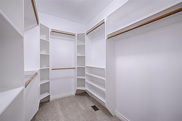 walk in closet with light carpet