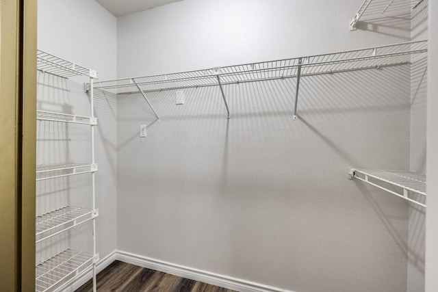 walk in closet featuring dark hardwood / wood-style flooring