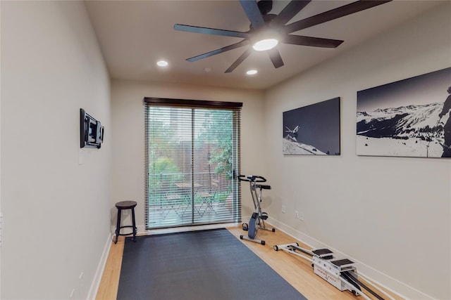 exercise area featuring wood-type flooring and ceiling fan