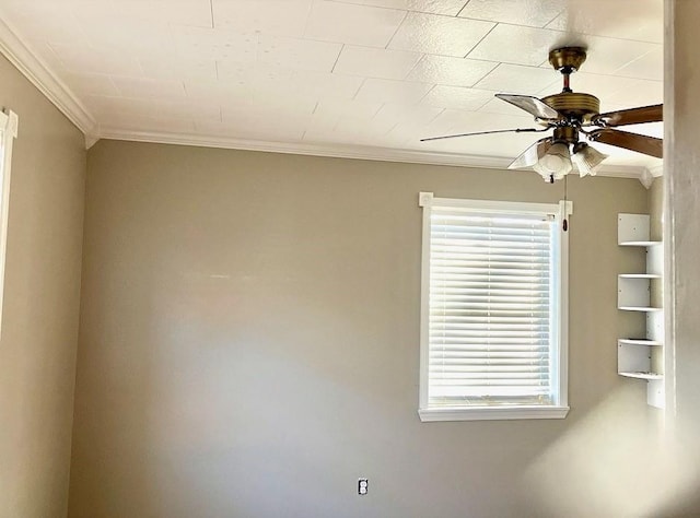 spare room with ceiling fan and crown molding