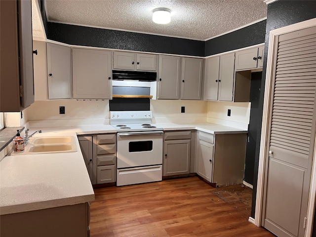 kitchen with light wood-type flooring, a textured ceiling, sink, white electric stove, and gray cabinets