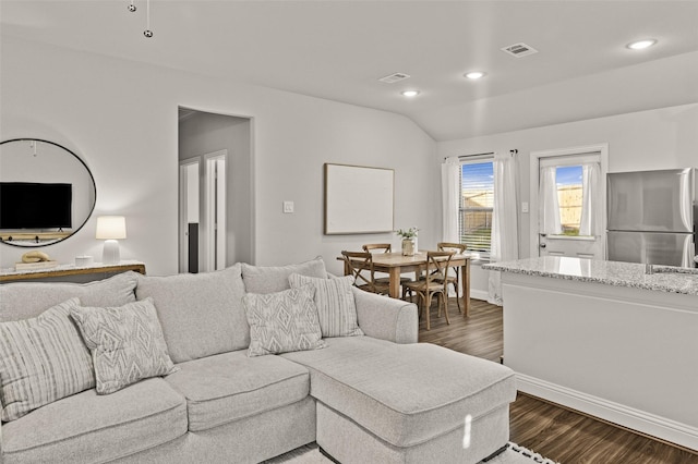 living room featuring lofted ceiling and dark wood-type flooring