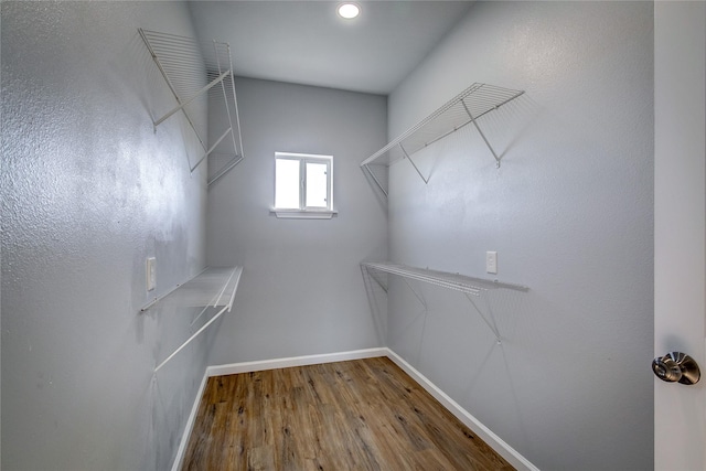 spacious closet with hardwood / wood-style flooring