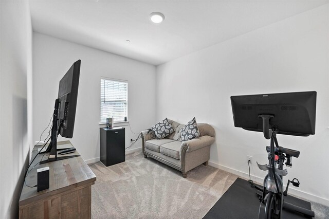 exercise area with light colored carpet