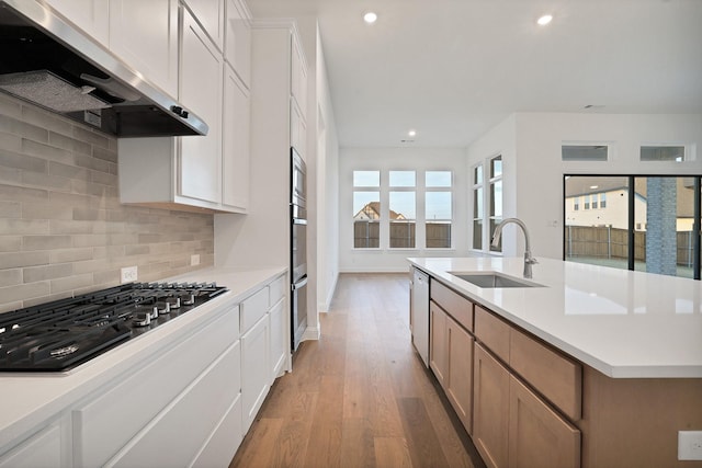 kitchen featuring sink, white cabinetry, ventilation hood, stainless steel appliances, and a kitchen island with sink