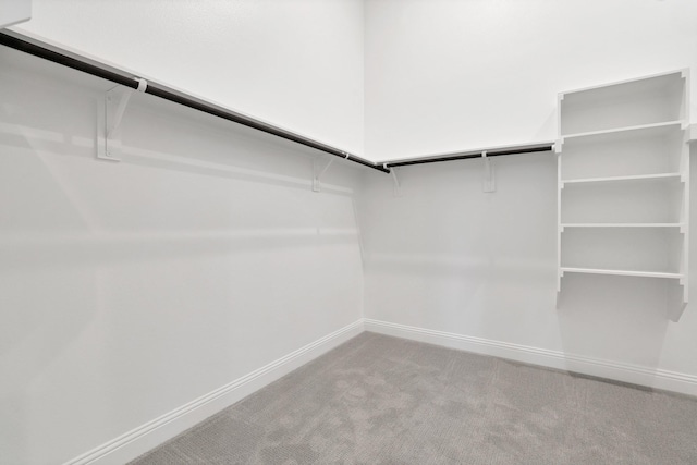 walk in closet with carpet flooring