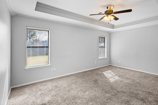 empty room with carpet floors, a raised ceiling, ceiling fan, and crown molding