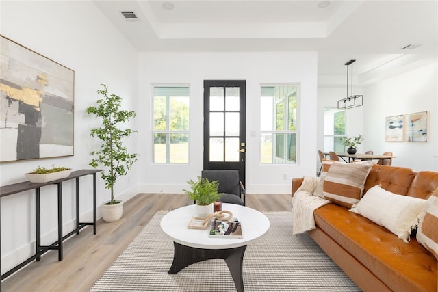 living room with a raised ceiling, plenty of natural light, and light hardwood / wood-style floors