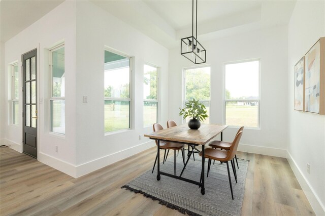 dining area featuring a tray ceiling, an inviting chandelier, and light wood-type flooring