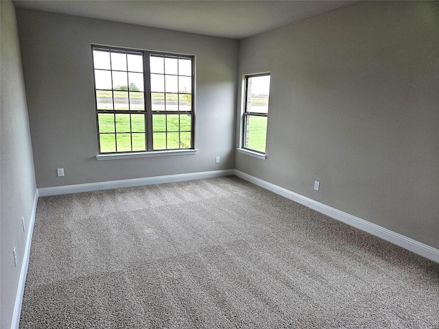 spare room with carpet